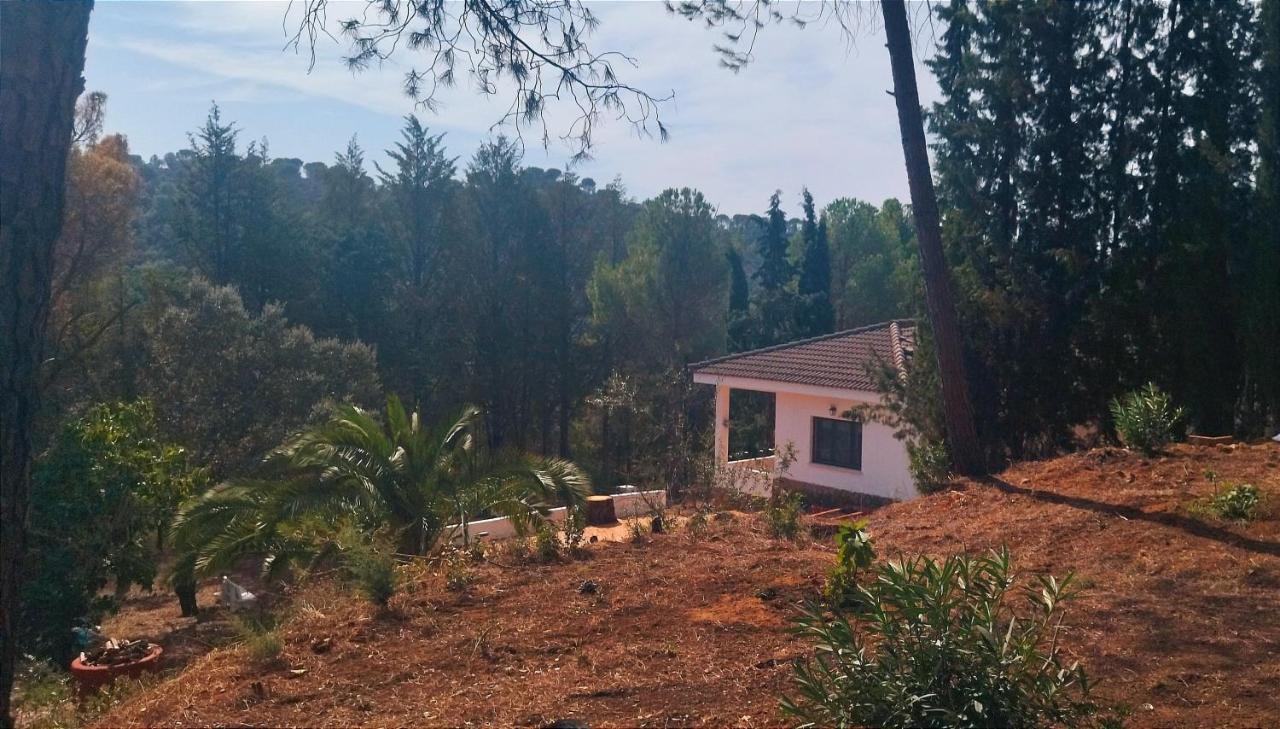 Chalé Bonita Casa Blanca En El Bosque. *